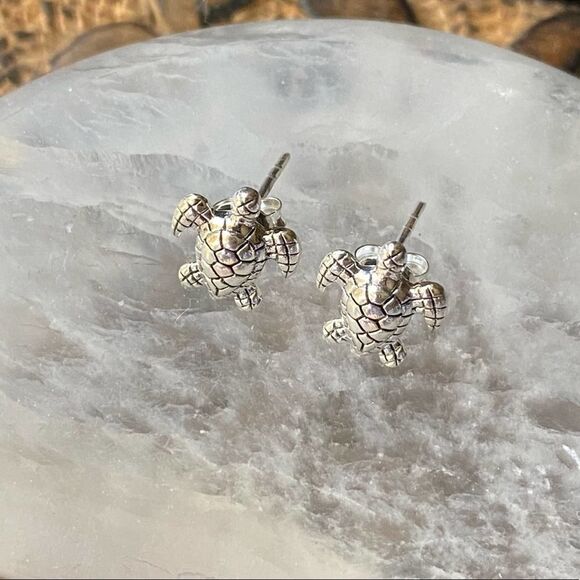 Detailed Sterling Silver Turtle Earrings - Picture 2 of 4
